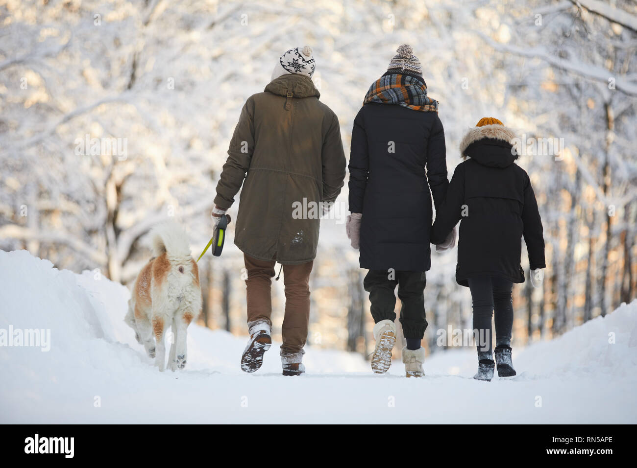 Familie Wandern mit Hund im Park Stockfoto