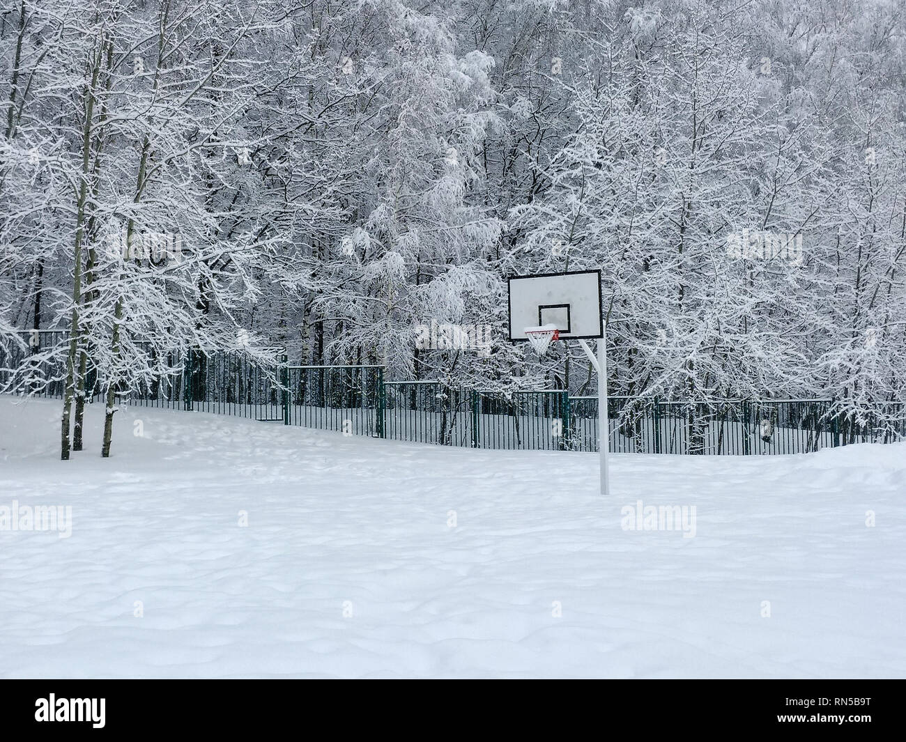 Basketball Backboard in der Nähe ein Wald bedeckt mit Schnee Nach schwere Schneefälle Stockfoto