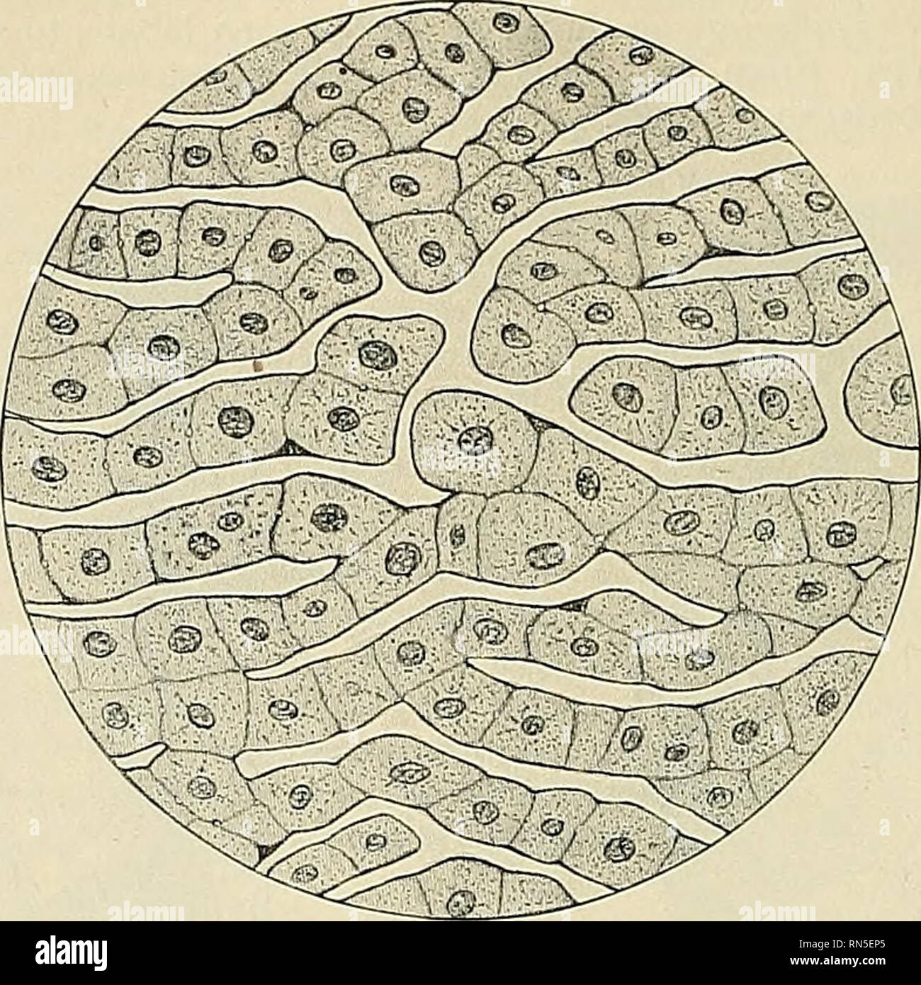 Download Wiegesagt Desktop Wallpaper Free Wiegesagt