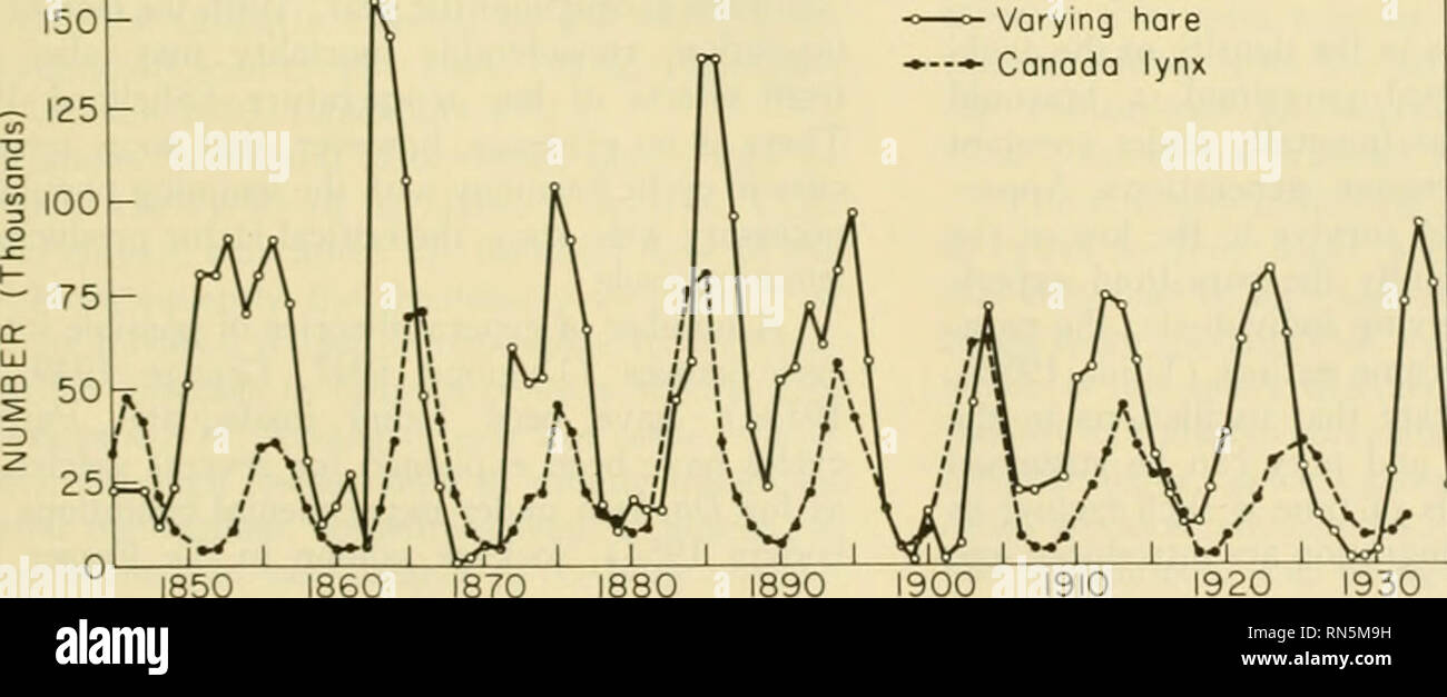 . Tierökologie. Tierökologie. Abb. 17-4 Verhältnis zwischen peaVs und lowj von lemming Zyklus mit verschiedenen Gemeinden im östlichen und nördlichen Kanada (Chitty 1950). östlichen N'orth Amerika haben im Jahr 1923, 1926, 1930, 1934, 1938 aufgetreten. 1941-12, 1945 - te, 194 S-49, und 1953, mit Abweichungen von einem oder mehreren Jahren für Par-dere Regionen (Siivonen 1954). Ein peak trat in Alaska 1956. Der Predator Zyklus ist abhängig von der Zyklus der pflanzenfressende Säugetiere oder Vögel Beute Arten. Die Korrespondenz in den Zyklen von Räuber und Beute ist in der Regel zu schließen, dass der Predator soine - mal lag ein Stockfoto