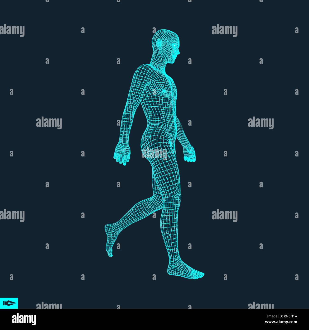 Walking Man. 3D-Modell des menschlichen Körpers. Geometrischen Design. Menschliche Körper Kabel Modell. Vector Illustration. Stock Vektor