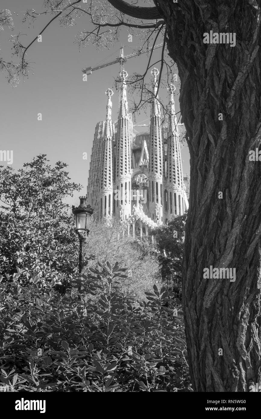 Ein Einblick in das unvollendete Meisterwerk Gaudis: La Sagrada Familia, Wahrzeichen in Barcelona, Katalonien, Spanien. UNESCO-Weltkulturerbe. B/W-Foto Stockfoto