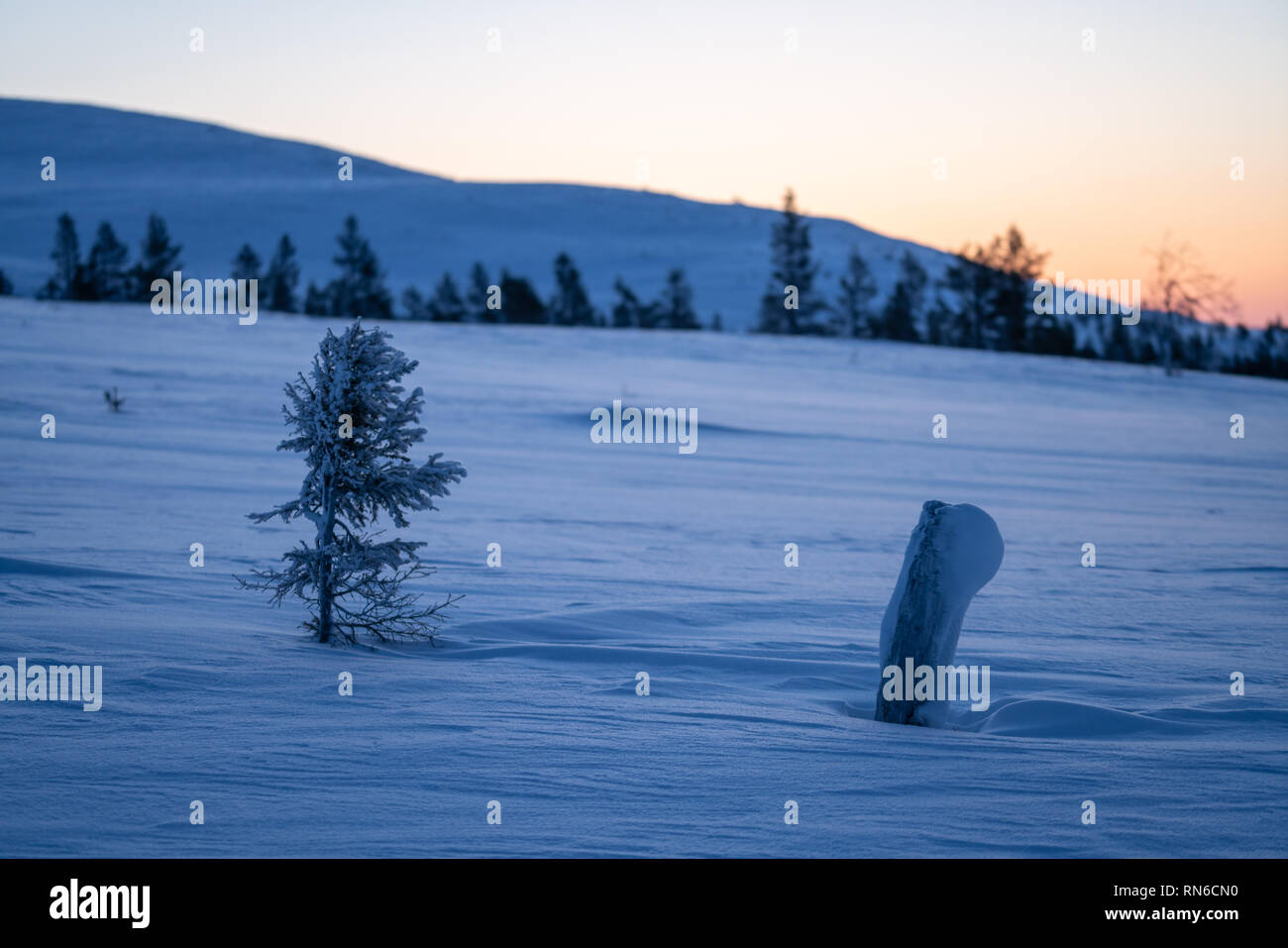 Alte Baumstamm und Schnee Details für einen Hintergrund verwenden Stockfoto