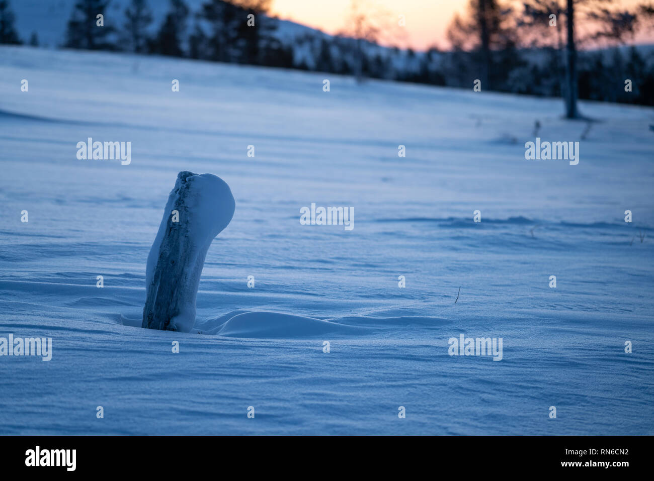 Alte Baumstamm und Schnee details mit Kopie Platz für einen Hintergrund verwenden Stockfoto