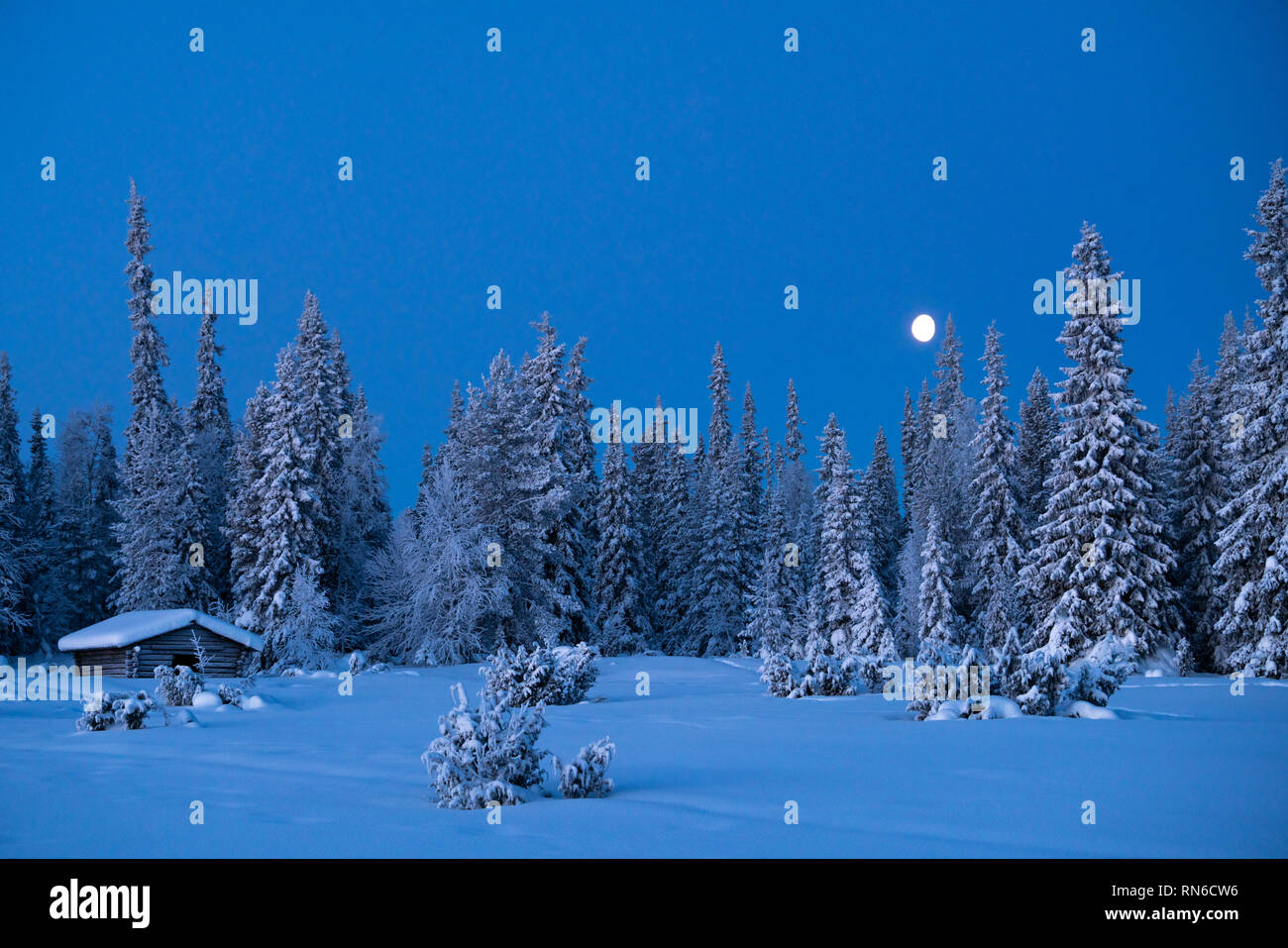 Taigawald mit kleinen Häuschen und einen Mond in der blauen Stunde in Finnland Stockfoto