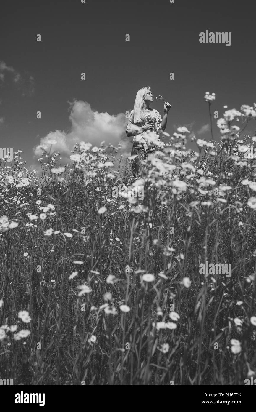 Daisy Flowers Feld, junge Frau, die in der Natur Stockfoto