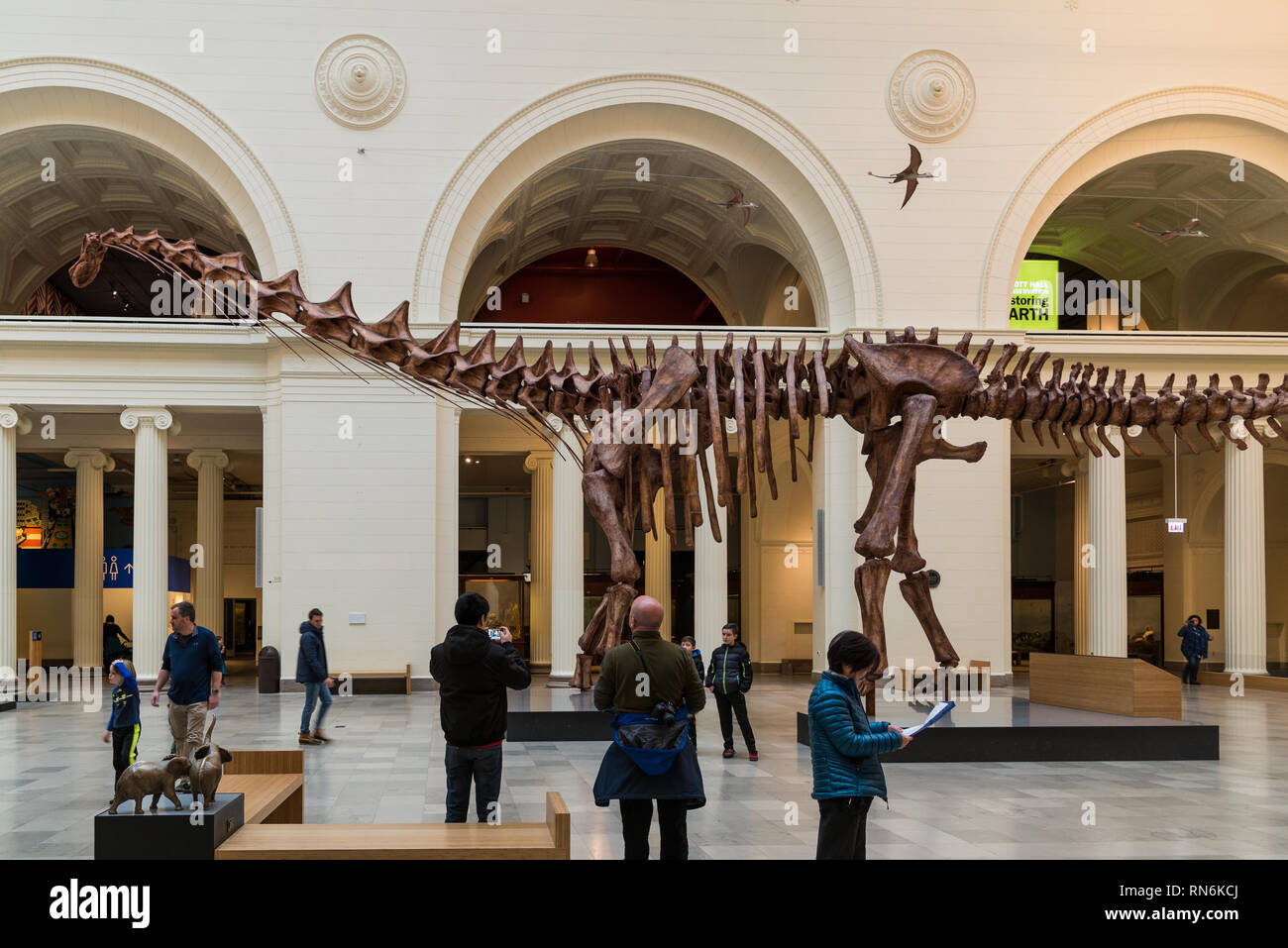 Besucher vor der Máximo Titanosaur Patagotitan mayorum, der größte Dinosaurier, der je gefunden wurde, im Field Museum, Chicago, Illinois, USA. Stockfoto