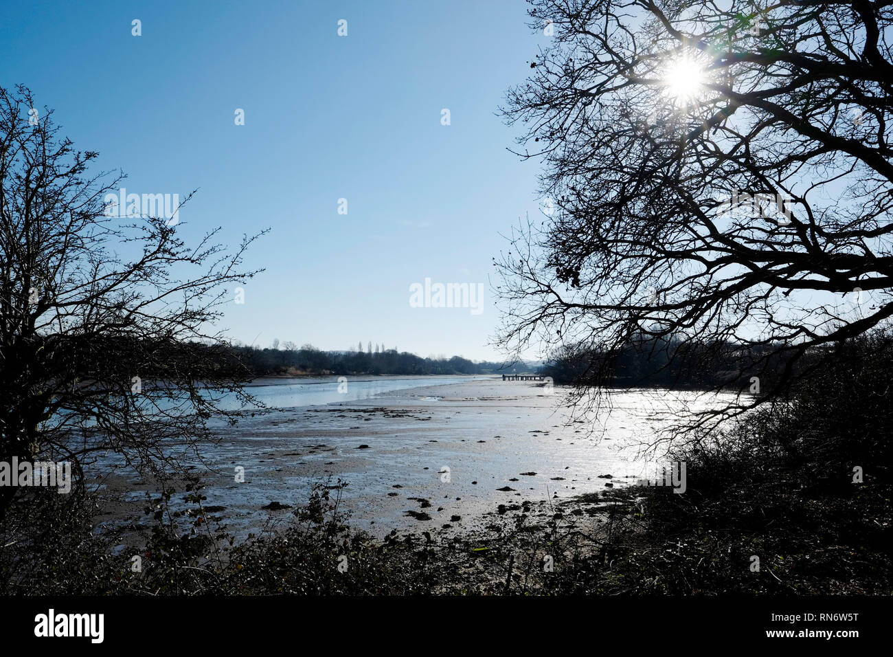 Banken der Medina River bei Newport, Isle of Wight, England, UK. Stockfoto