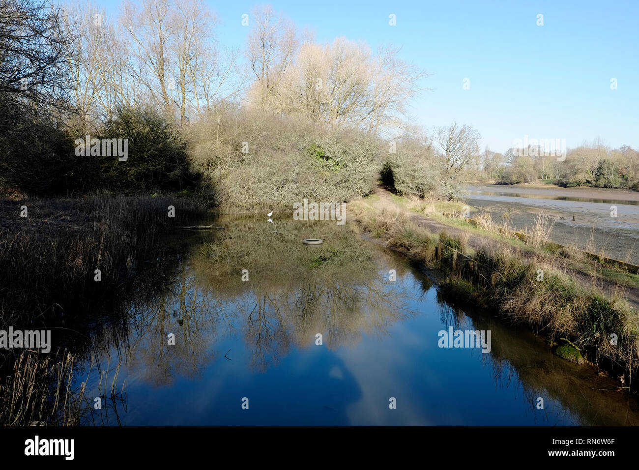 Banken der Medina River bei Newport, Isle of Wight, England, UK. Stockfoto