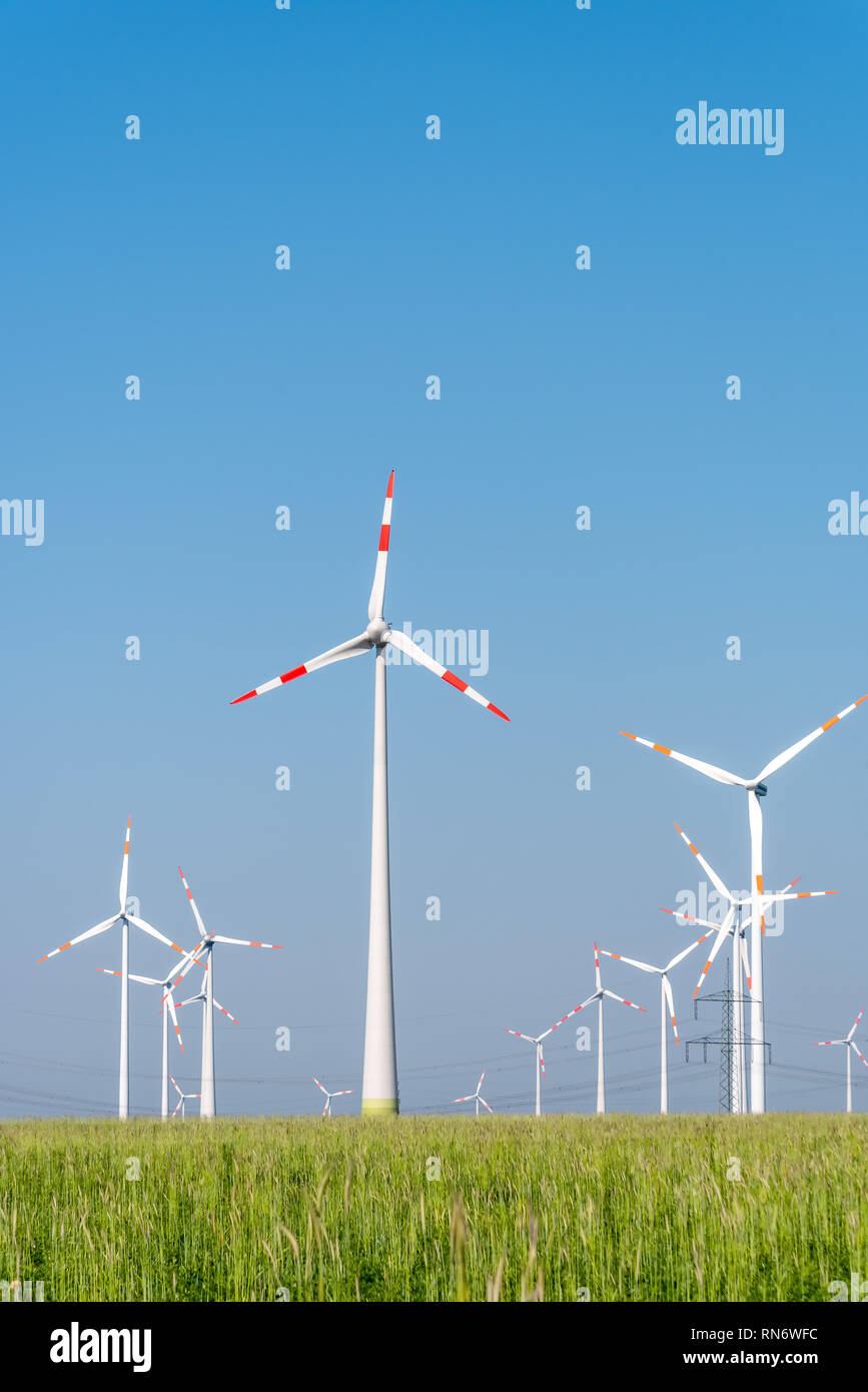 Windenergieanlagen in einem Maisfeld in Deutschland gesehen Stockfoto