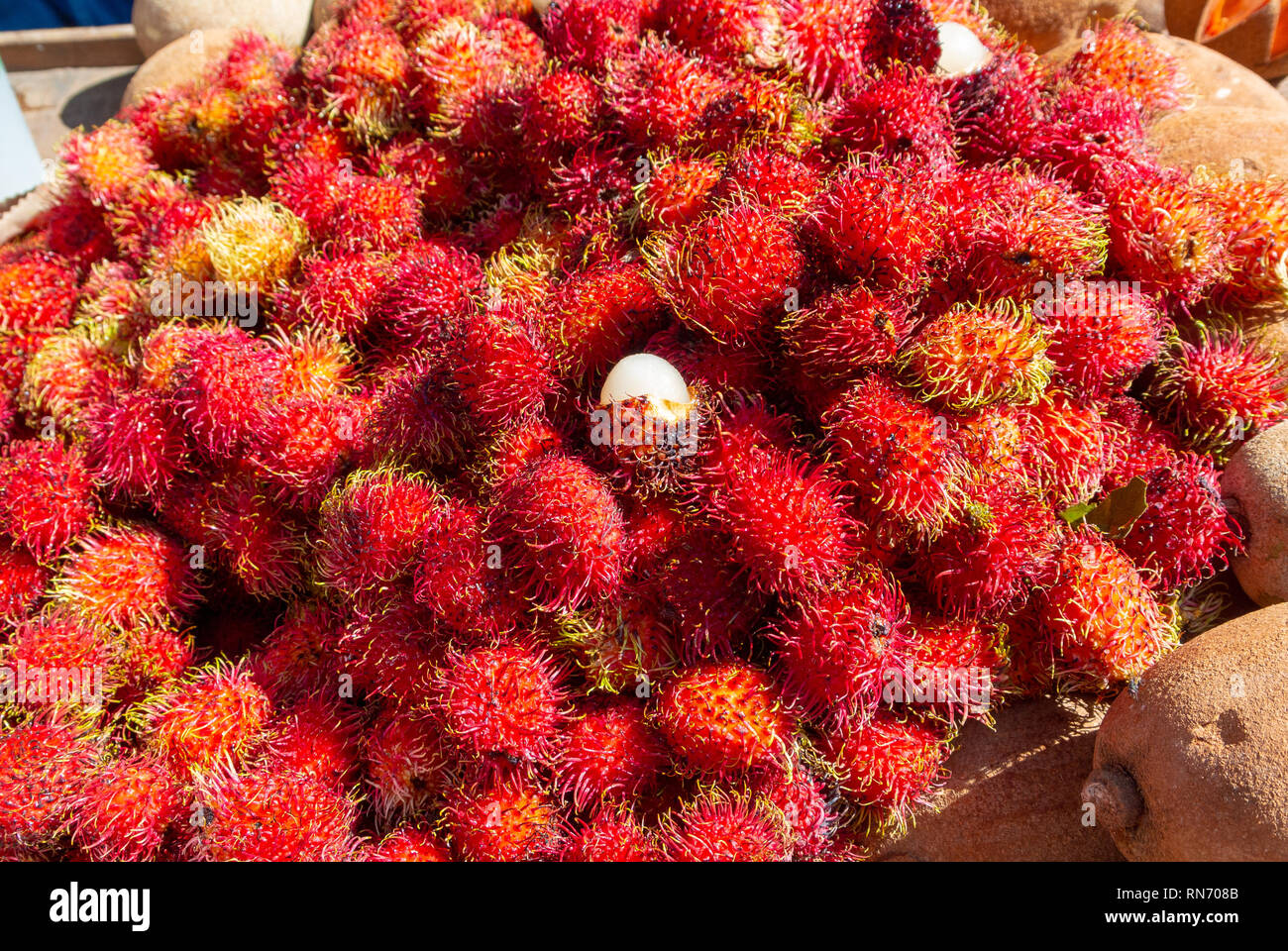 Rambutan, Nephelium Lappaceum, exotische Früchte an tlacolula Markt, Oaxaca, Mexiko Stockfoto