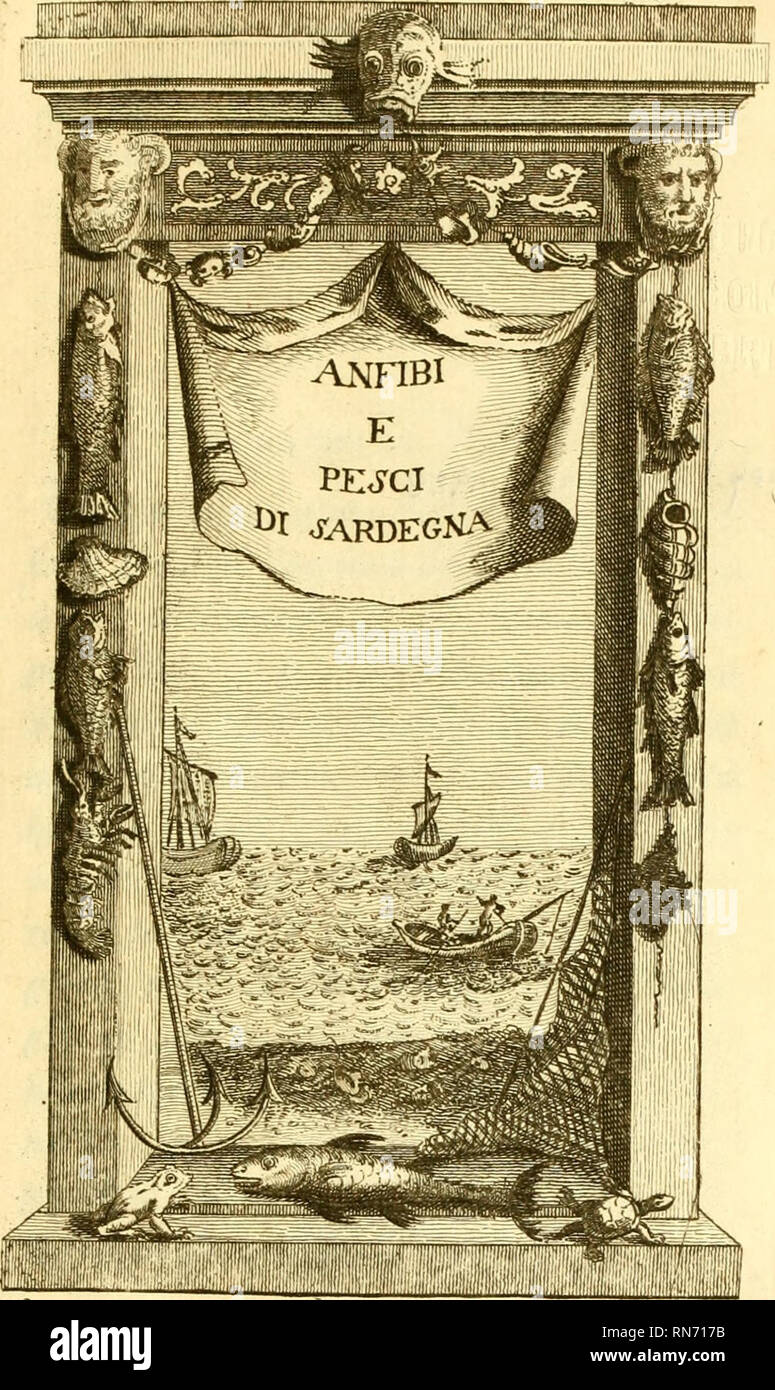 . Anfibi e Pesci di Sardegna. Amphibien -- Italien Sardinien; Reptilien - - Italien Sardinien; Fische -- Italien Sardinien. ^/t^VUU^ Cd F. IXt. Ich mEMimmimm. apari. J 777 Julia&lt; ftampina di fr &Lt;u^ ecc.''^ laUoU -. Bitte beachten Sie, dass diese Bilder sind von der gescannten Seite Bilder, die digital für die Lesbarkeit verbessert haben mögen - Färbung und Aussehen dieser Abbildungen können nicht perfekt dem Original ähneln. extrahiert. Cetti, Francesco, 1726-1780?. Sassari, G. Piattoli Stockfoto