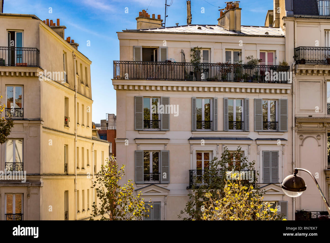 Paris Wohnung Gebäude mit weißen Fensterläden und einem Garten auf der obersten Etage Balkon auf der Avenue Daumesnil im 12. arrondissement von Paris, Frankreich Stockfoto