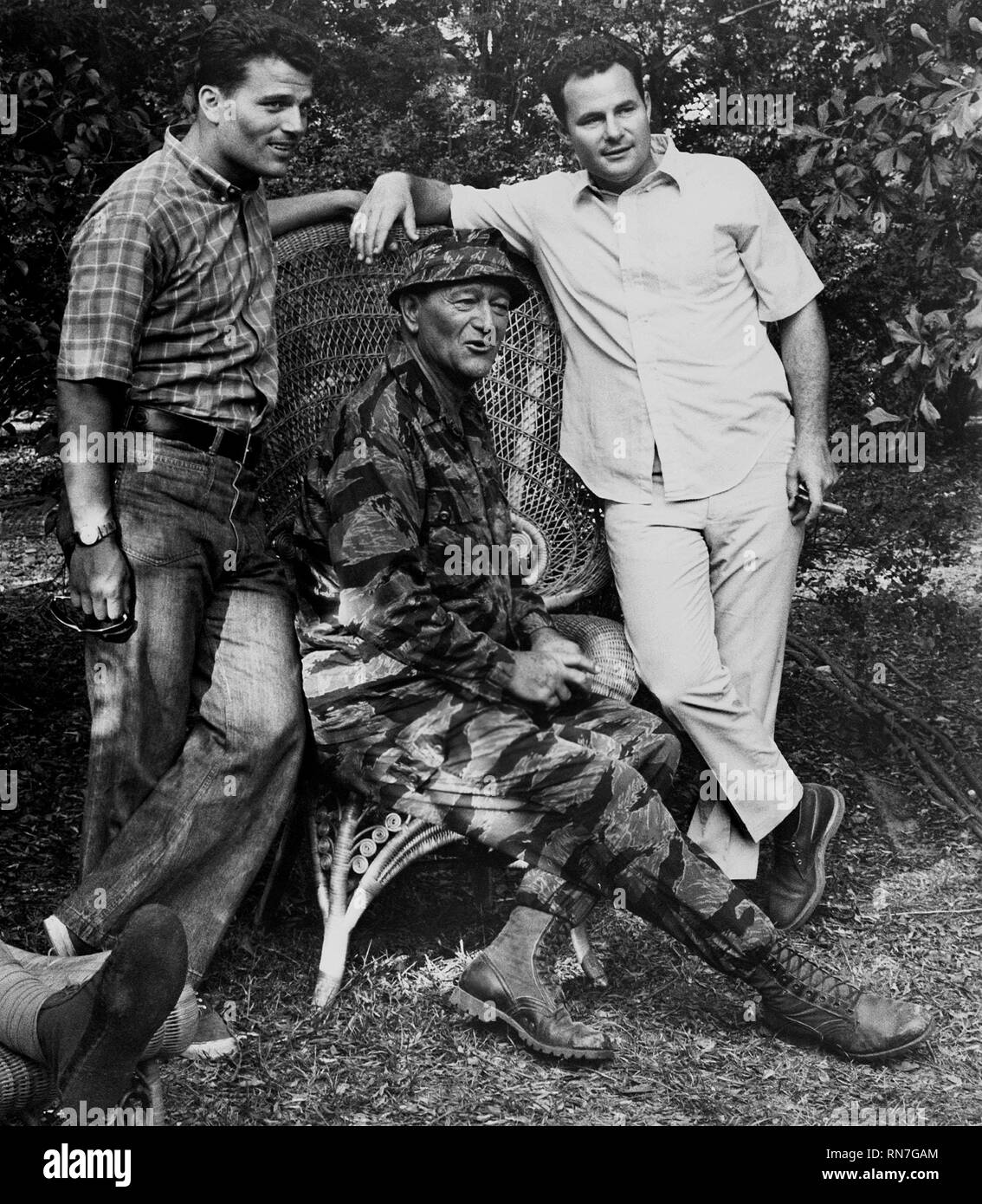 WAYNE, WAYNE, WAYNE, DIE GRÜNHELME, 1968 Stockfoto