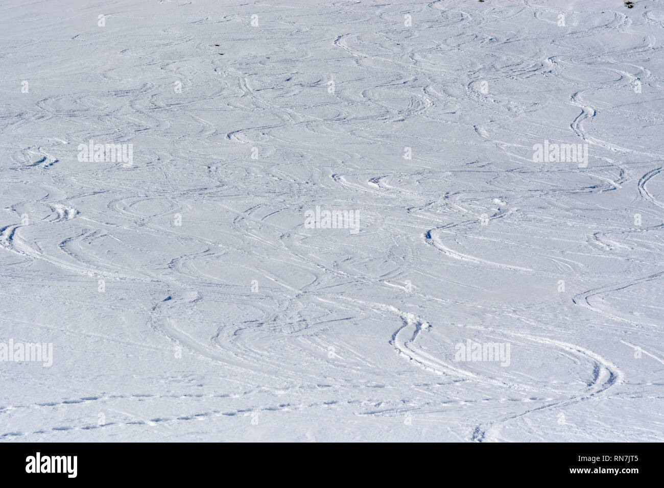 Skifahren abseits der Strecke Stockfoto