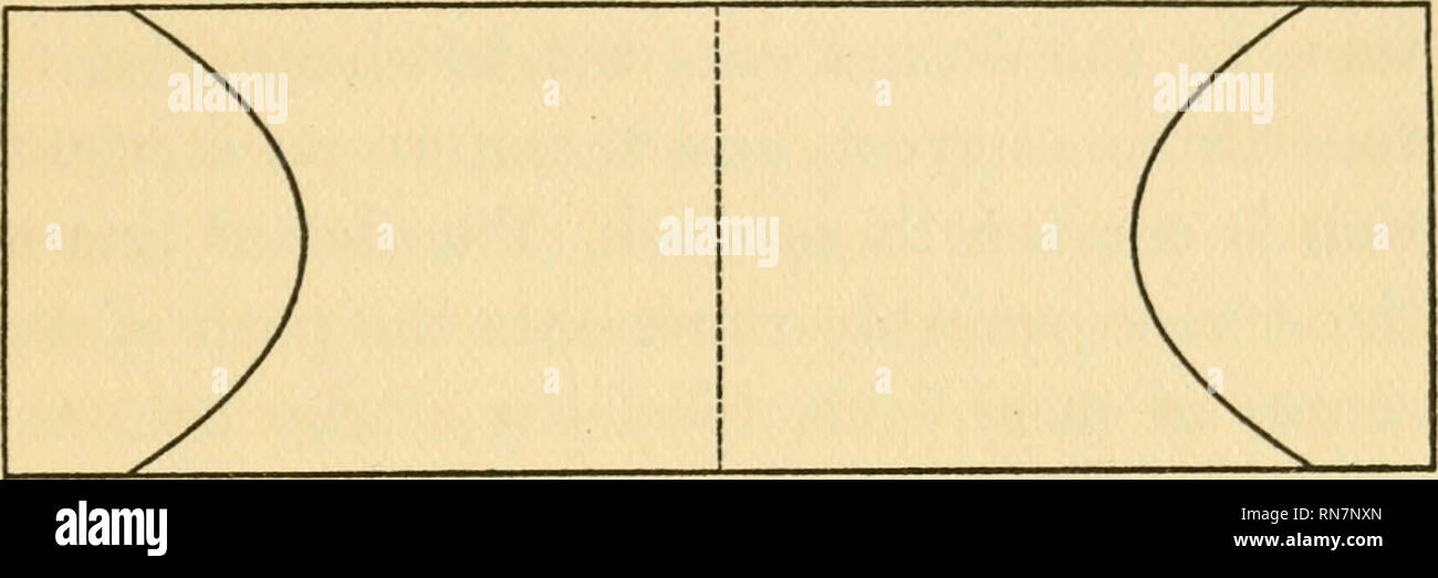 . Die Anatomie der Wissenschaft. Wissenschaft. Materie in Bewegung 101 ance, näher am Zentrum und weniger gekrümmt sein, wie Sie es gemacht haben." Ich habe mich dann zu einem MATHEMATI-Cian, der sagt: "Im oberen Diagramm. Bitte beachten Sie, dass diese Bilder sind von der gescannten Seite Bilder, die digital für die Lesbarkeit verbessert haben mögen - Färbung und Aussehen dieser Abbildungen können nicht perfekt dem Original ähneln. extrahiert. Lewis, Gilbert Newton, 1875-1946. New Haven, Yale University Press, London, H. Milford, Oxford University Press Stockfoto