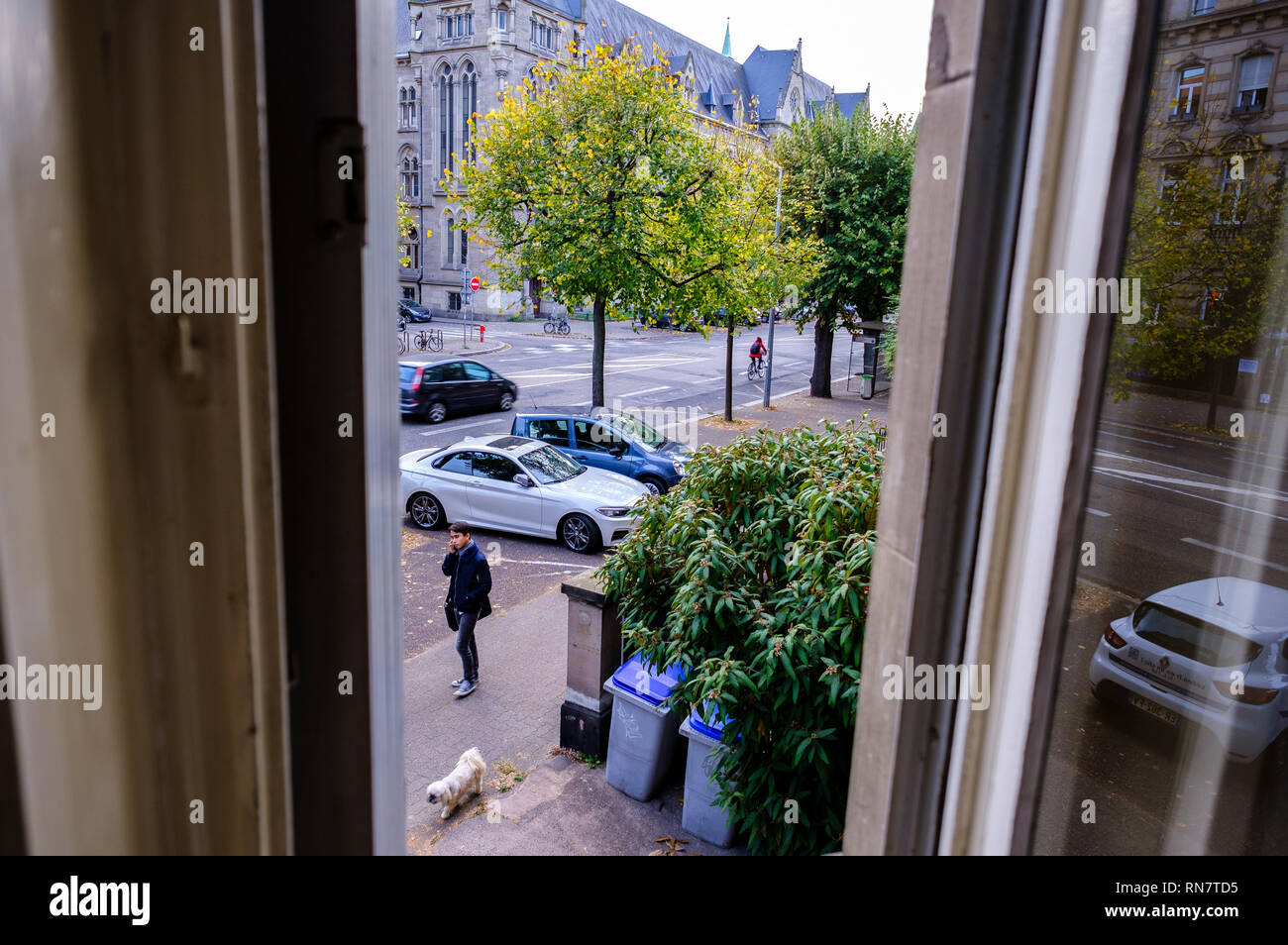 Straßburg, Elsass, Frankreich, durch Fenster eingerahmt, Straße, Autos, junger Mann gehen der Hund, Stockfoto