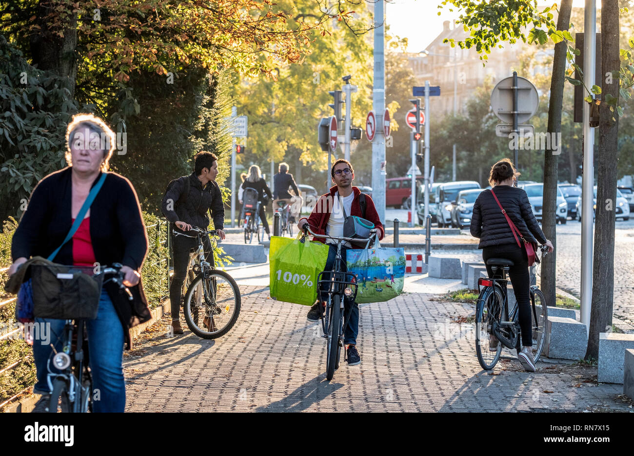 Straßburg, Elsass, Frankreich, Menschen Radfahren auf der Fahrbahn, am späten Nachmittag Licht, Stockfoto