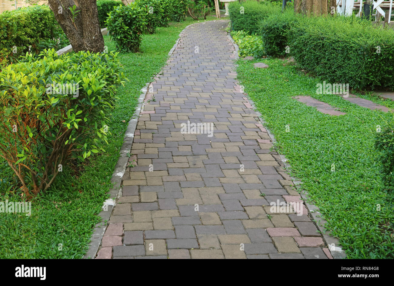 Steinblock gepflasterter Weg im grünen Garten Stockfoto