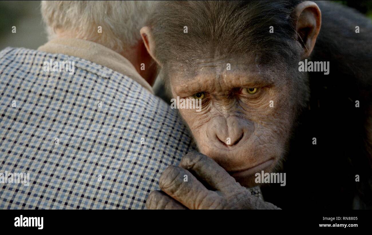 Planet Der Affe Stockfotos Und Bilder Kaufen Alamy