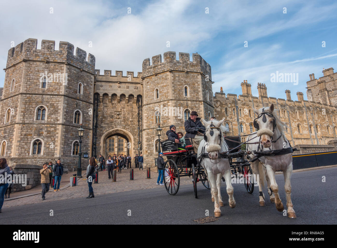 Eine Pferdekutsche vor Windsor Castle gezogen gezogen von zwei weißen Pferden ist beliebt bei Touristen und bietet Fahrten um Windsor. Stockfoto