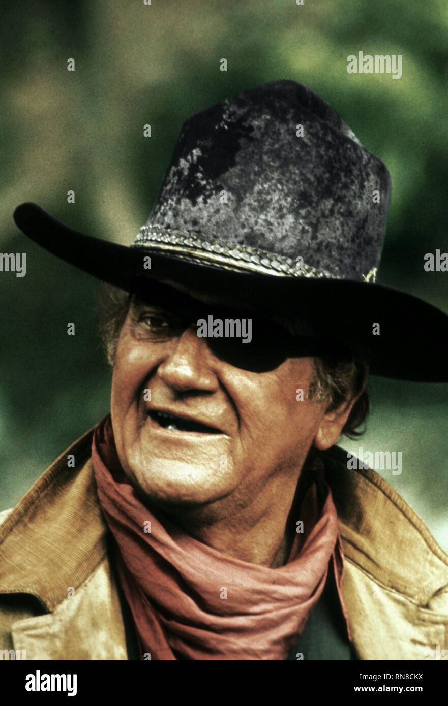 JOHN WAYNE, Rooster Cogburn, 1975 Stockfoto