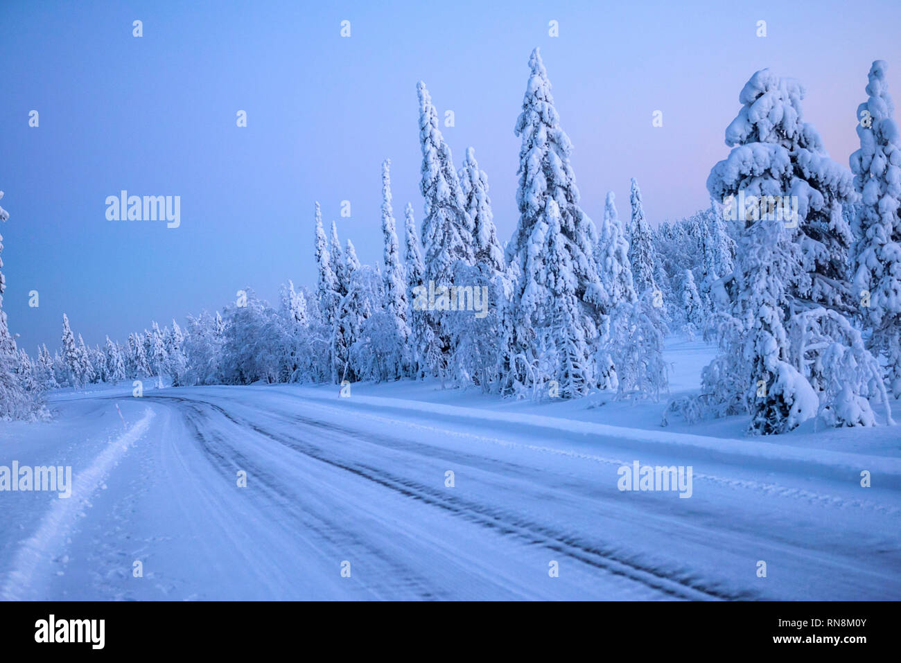 Schnee und Eis bedeckten Bäume in Lappland, Finnland Stockfoto