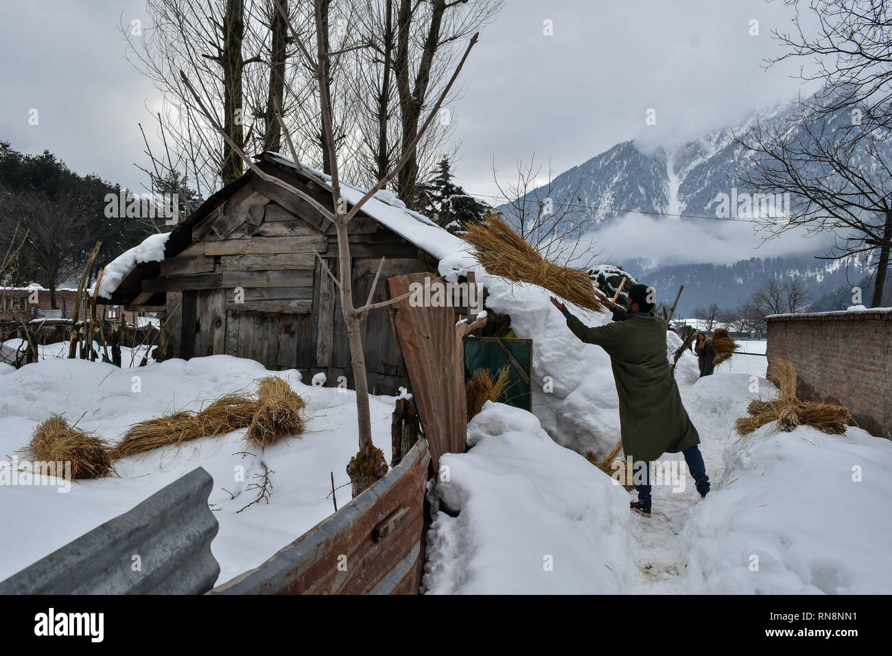 Ein Bewohner gesehen werfen Klumpen von getrocknetem Gras während ein Trüber Wintertag in Pahalgam, ca. 110 km von Srinagar, Indien verwalteten Kaschmir. Das Kaschmir-tal würde bleiben meist am Sonntag bewölkt, mit verstreuten Regen und Gewitter über dem Zustand für die nächsten zwei bis drei Tage, eine lokale meteorologische Abteilung Prognose sagte. Stockfoto