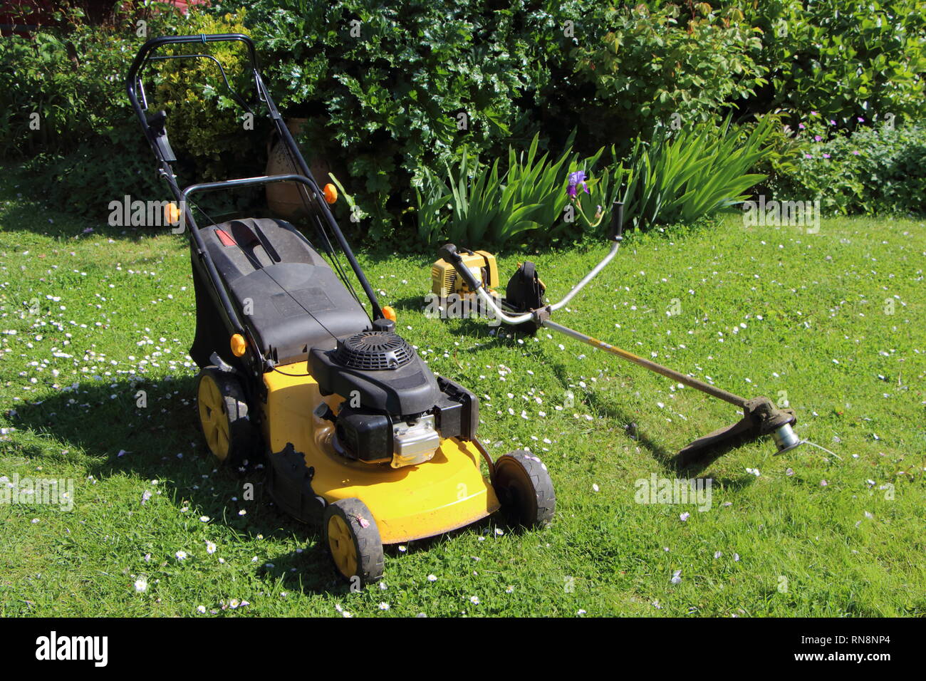 Gartengeräte, Rasenmäher und Freischneider in einem Garten im Frühling Stockfoto