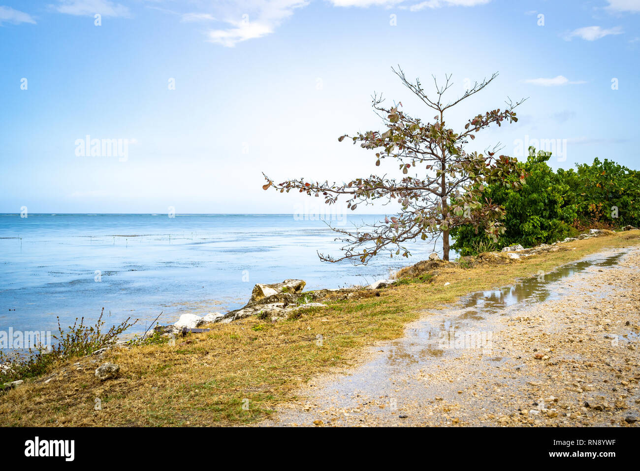 Tropische Insel Meer Küste. Pfützen nach Regen-/Niederschlag. Stockfoto