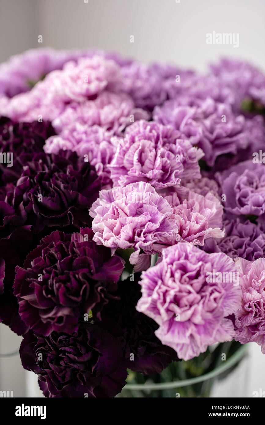 Schone Nelken Blumen In Einer Vase Auf Dem Tisch Blumenstrauss Aus Dunklem Violett Lila Und Pink Blume Dekoration Von Zu Hause Florale Textur Stockfotografie Alamy