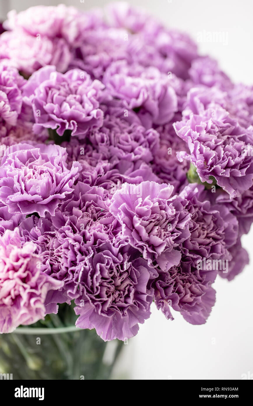 Schone Nelken Blumen In Einer Vase Auf Dem Tisch Blumenstrauss Aus Dunklem Violett Lila Und Pink Blume Dekoration Von Zu Hause Florale Textur Stockfotografie Alamy