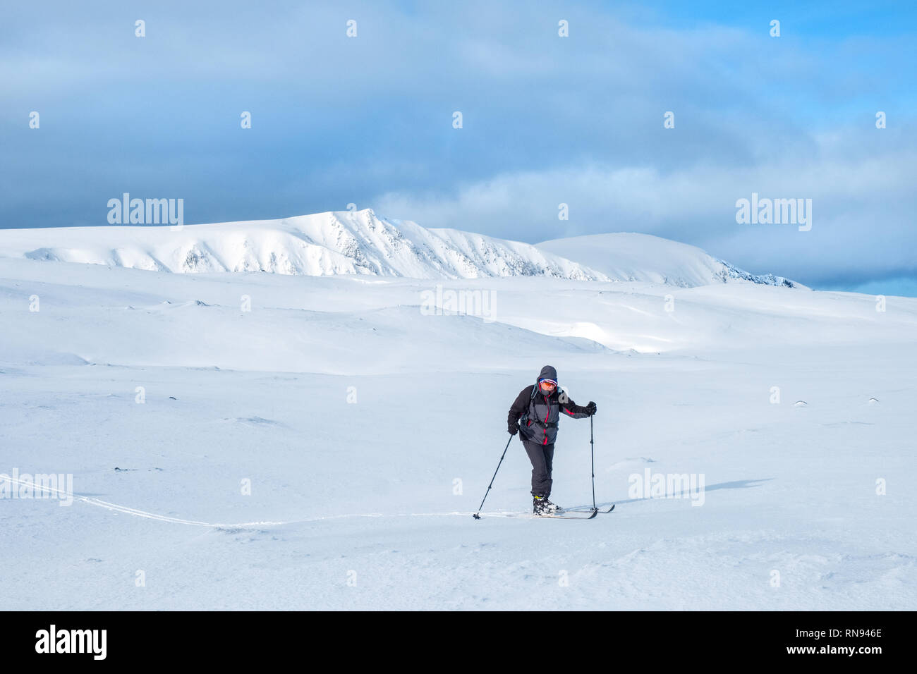 Gruppe von Ski-bergsteiger Skitouren auf der Feshie Hochebene in die Cairngorm Mountains, Schottland, Großbritannien Stockfoto