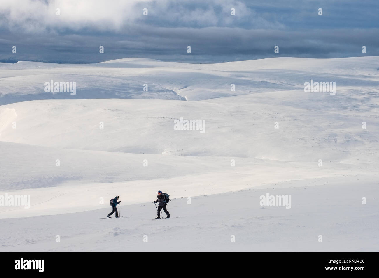 Gruppe von Ski-bergsteiger Skitouren auf der Feshie Hochebene in die Cairngorm Mountains, Schottland, Großbritannien Stockfoto