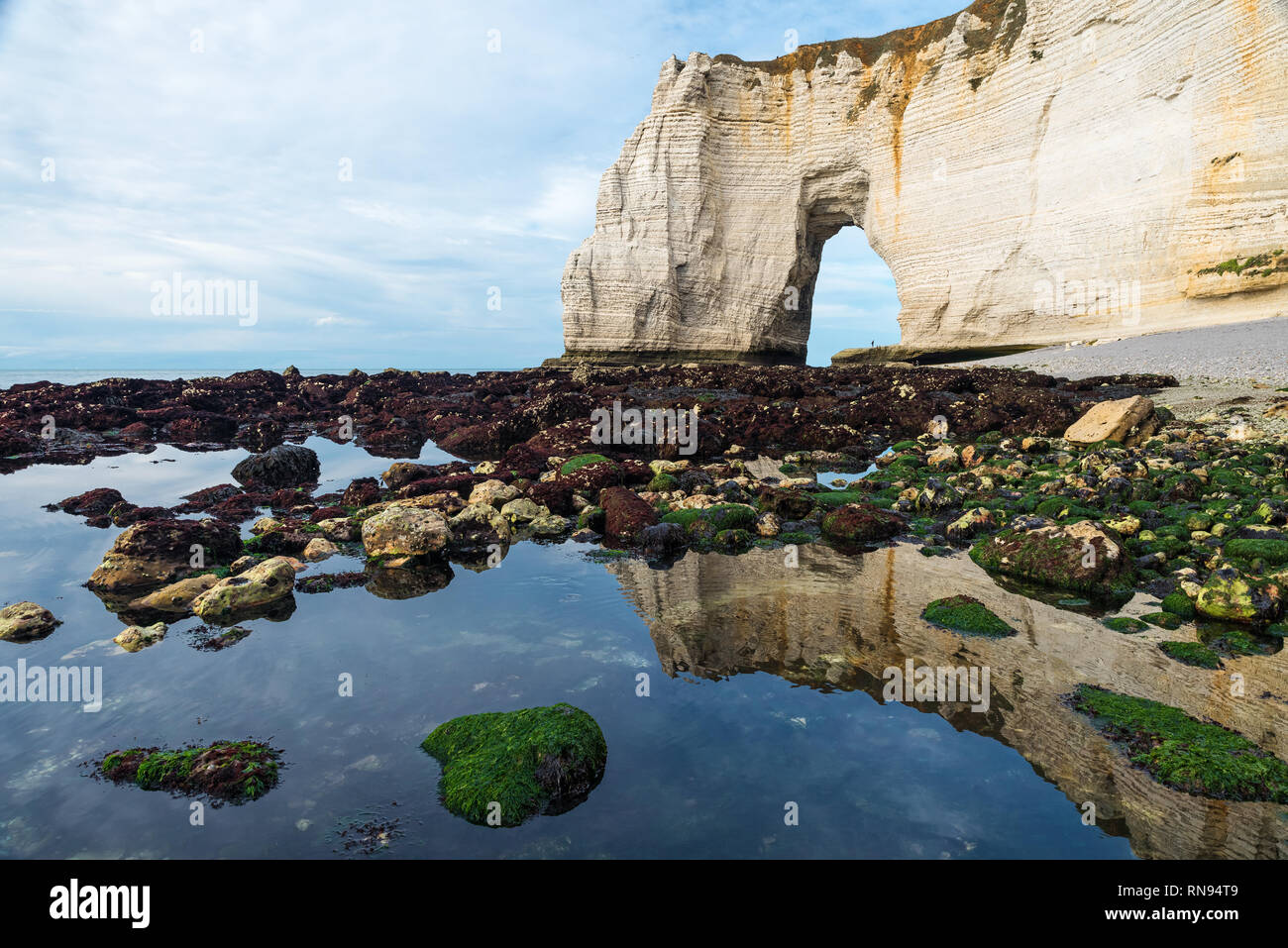 Strand in Etretat bei Ebbe mit schönen Bogen Cliff und Reflexion im Meer, Normandie, Nord Frankreich, Europa Stockfoto