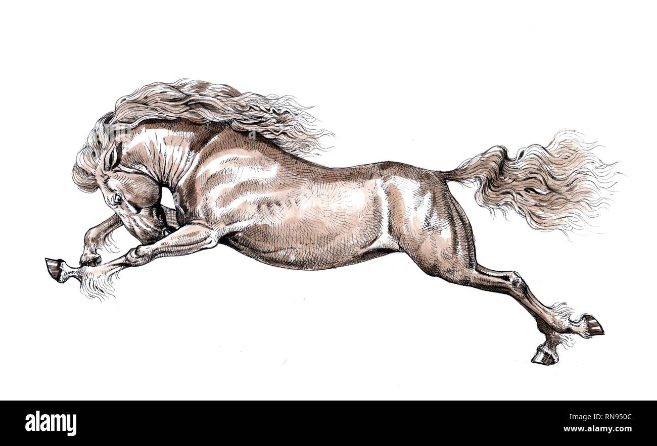 Galoppierendes Pferd. Der Gewinner. Zeichnung und Aquarell. Stockfoto