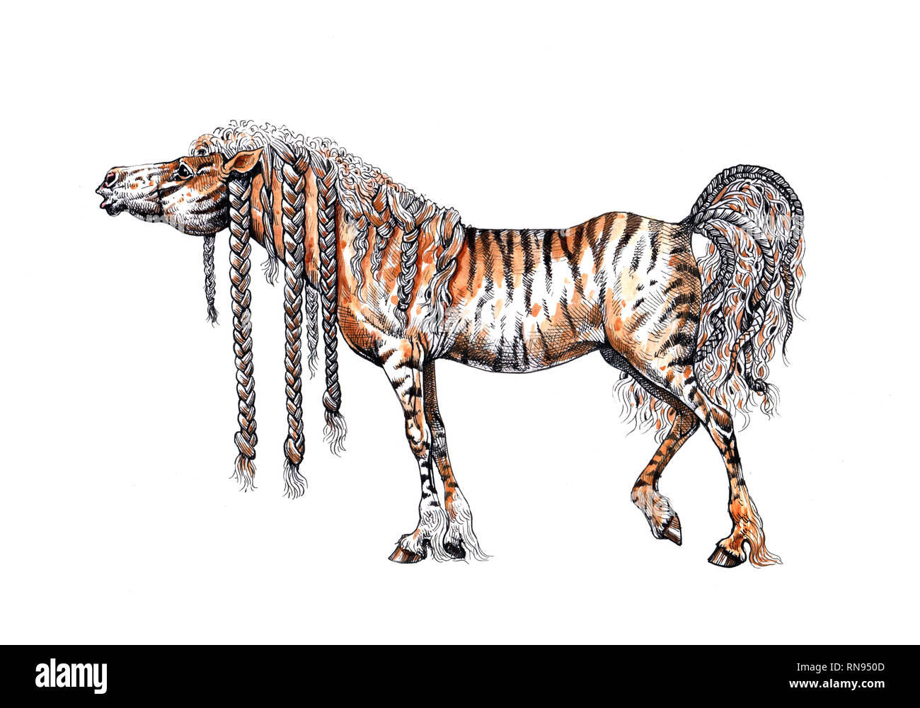 Curly Horse. Equine Art Tinte Zeichnung und Aquarell. Stockfoto