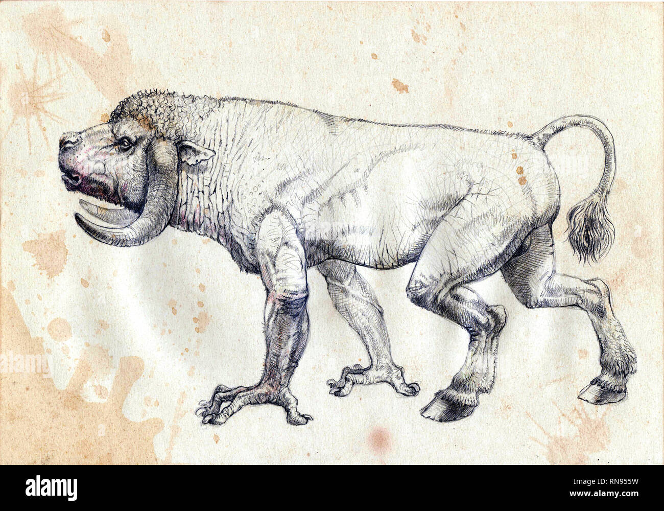 Minotaurus. Schreckliche Kreatur aus der griechischen Mythologie. Hand Made Zeichnung. Stockfoto