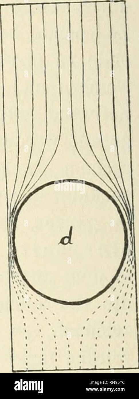 . Anatomischer Anzeiger. Anatomie, Vergleichende; Anatomie, Vergleichende. Abb. 4. Schemata zu den Darmepitlielzellen des Frosches. dm Kern Balatonfüred (analog der Situation in Abb. 1). Unserer schema-tischen Vorstellung gemäß müßte sich ferner der scheinbare Fibrillen-Kegel / abwärts vom Kern in der basalen Zellhälfte in umgekehrter Lage, mit der Spitze nach oben, wiederholen. Indessen ist in der basalen Zellhälfte der Darmepithelzellen bei meinen Präparaten in den meisten Fällen von einer Zellstructur überhaupt nichts zu sehen; das untere Zellende ist ähnlich wie bei den mir vorliegenden Flimmerze Stockfoto