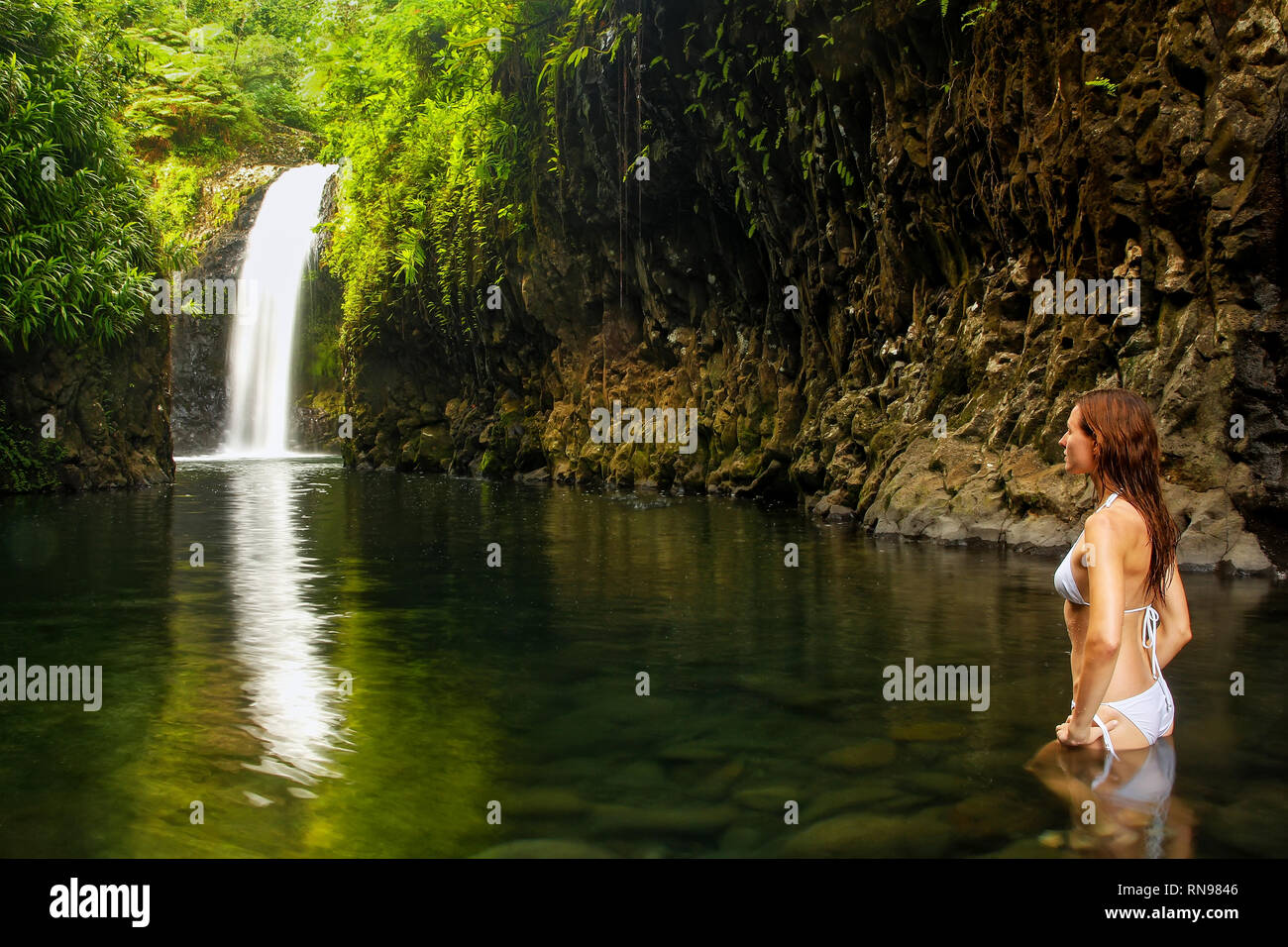 Junge Frau im Bikini stehen am Wainibau Wasserfall auf Taveuni Island, Fidschi. Taveuni ist die drittgrößte Insel in Fidschi. Stockfoto