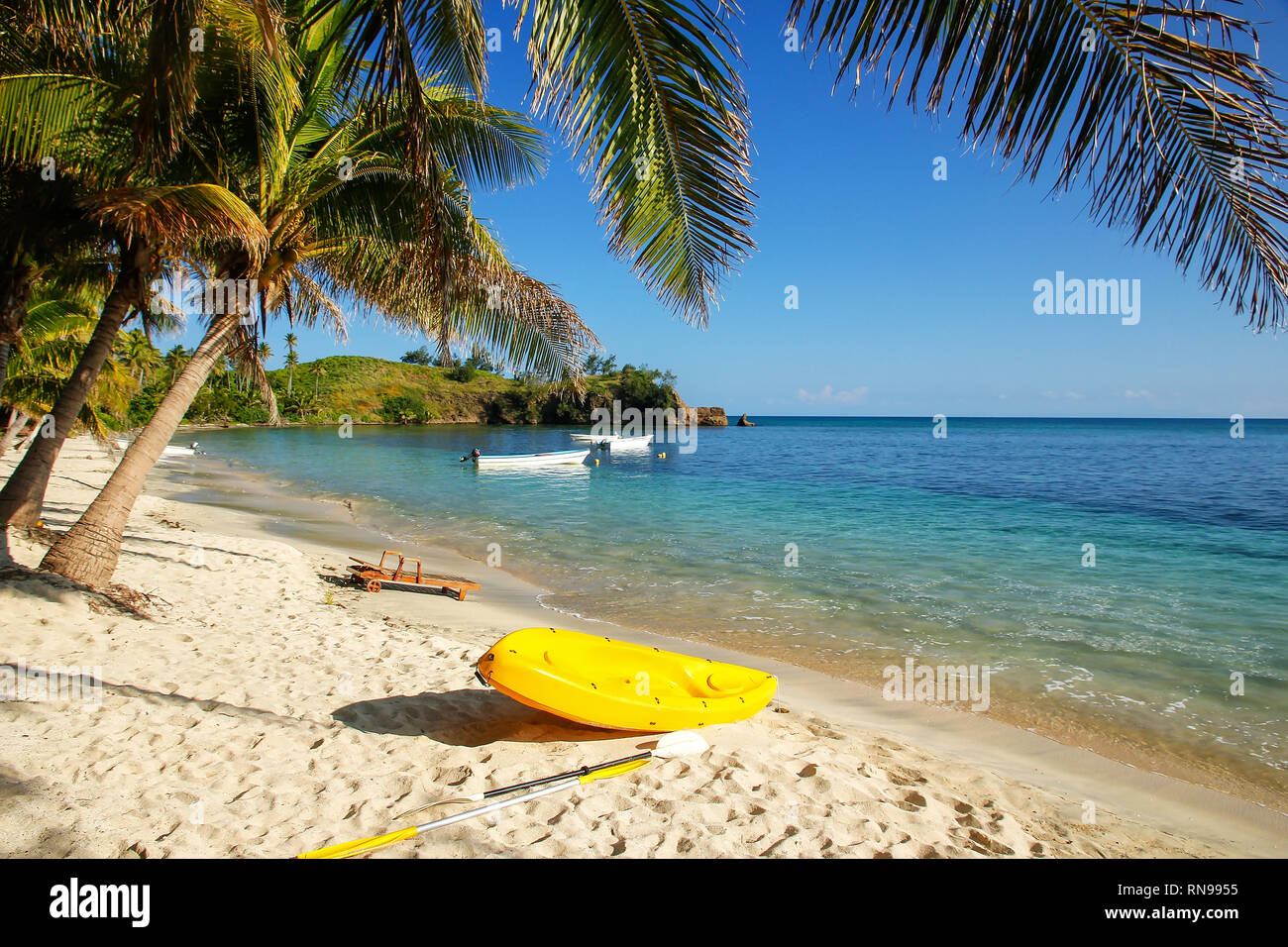 Sea Kayak auf dem Strand in der Nähe von Palmen, Nacula Island, Yasawas, Fidschi Stockfoto