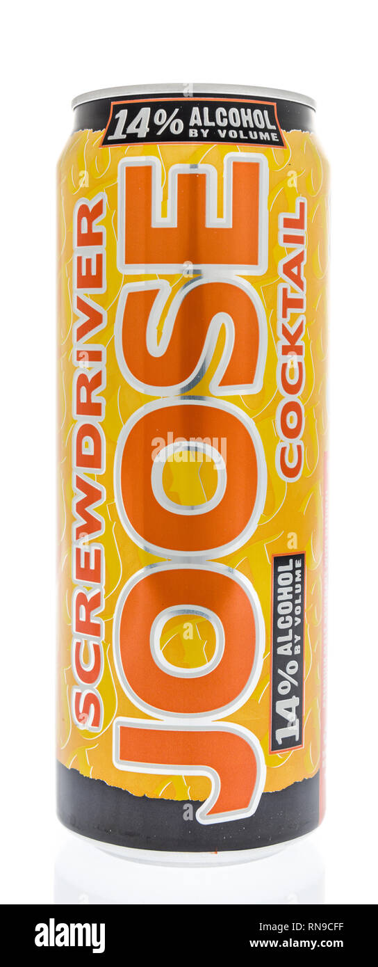 Winneconne, WI - 15. Februar 2019: eine Dose Joose Schraubendreher alkoholisches Getränk auf einem isolierten Hintergrund Stockfoto