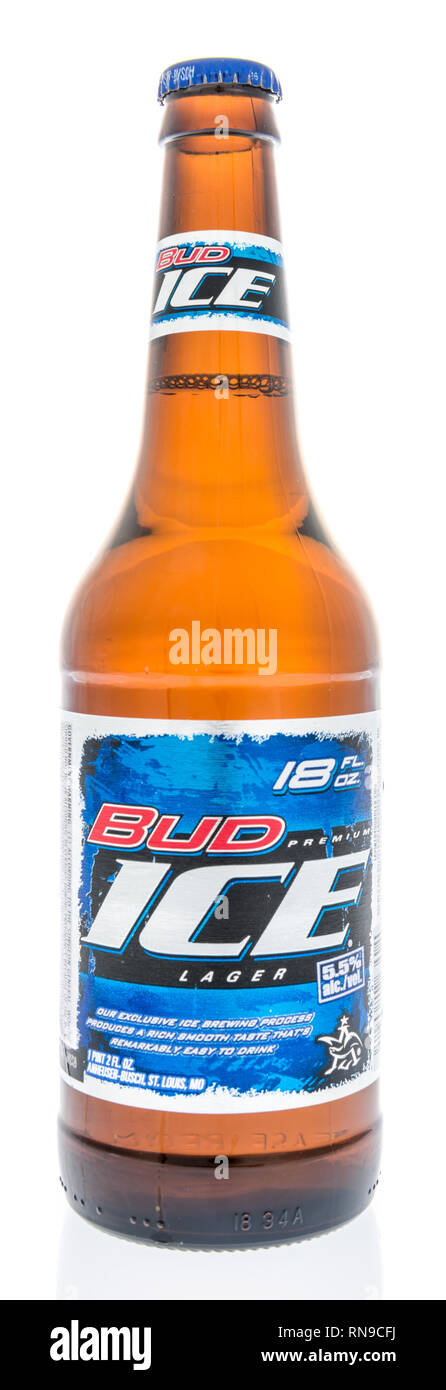 Winneconne, WI - 15. Februar 2019: eine Flasche Bud Ice Bier auf einem isolierten Hintergrund Stockfoto