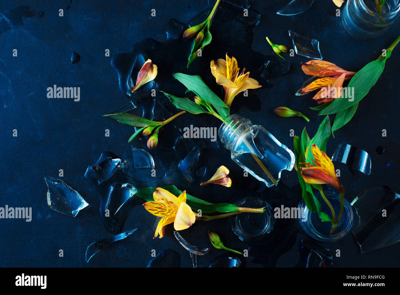 Zerbrochenes Glas Vase mit gelben Blumen. Frühling Blumen Konzept mit alstroemeria auf einem schwarzen Hintergrund mit kopieren. Stockfoto