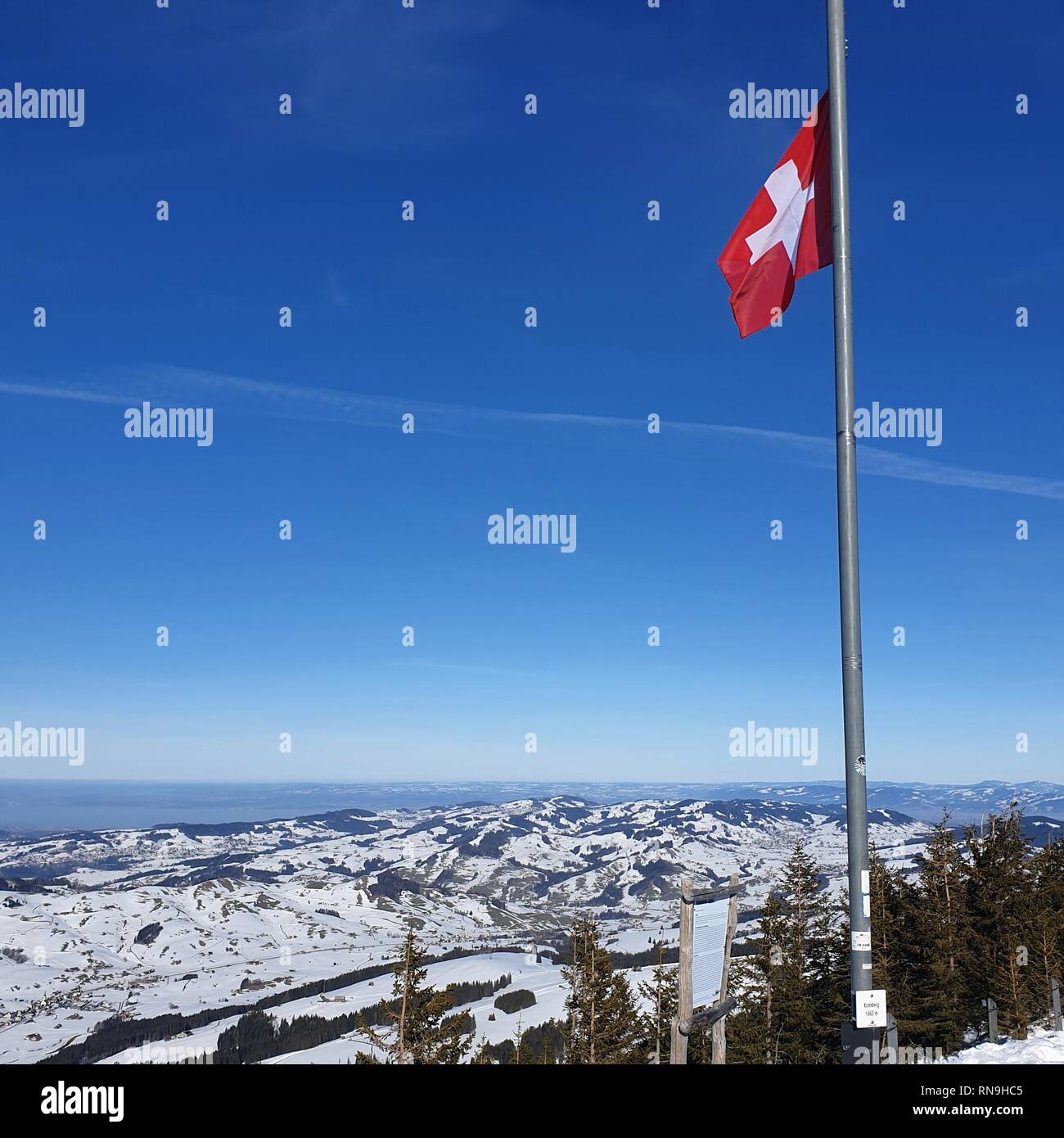 Schweizer Fahne winken mit den Alpen im Hintergrund. Schweiz Stockfoto