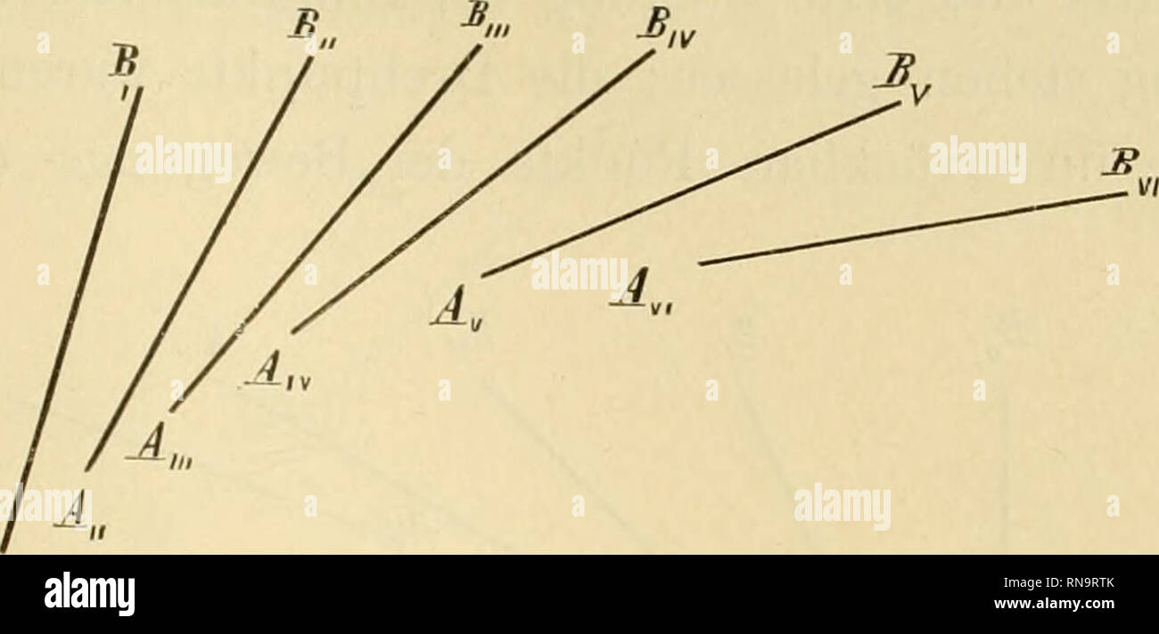 . Anatomische Hefte. Unbelasteten sterben aktive Beugung im Kniegelenk. 719 nicht nur A und B, sondern ein jeder Punkt, der mit der Linie AB starr verbunden ist, konzentrische Kreisbogen und umge-B". A.. Bitte beachten Sie, dass diese Bilder sind von der gescannten Seite Bilder, die digital für die Lesbarkeit verbessert haben mögen - Färbung und Aussehen dieser Abbildungen können nicht perfekt dem Original ähneln. extrahiert. München [etc. ] J. F. Bergmann Stockfoto