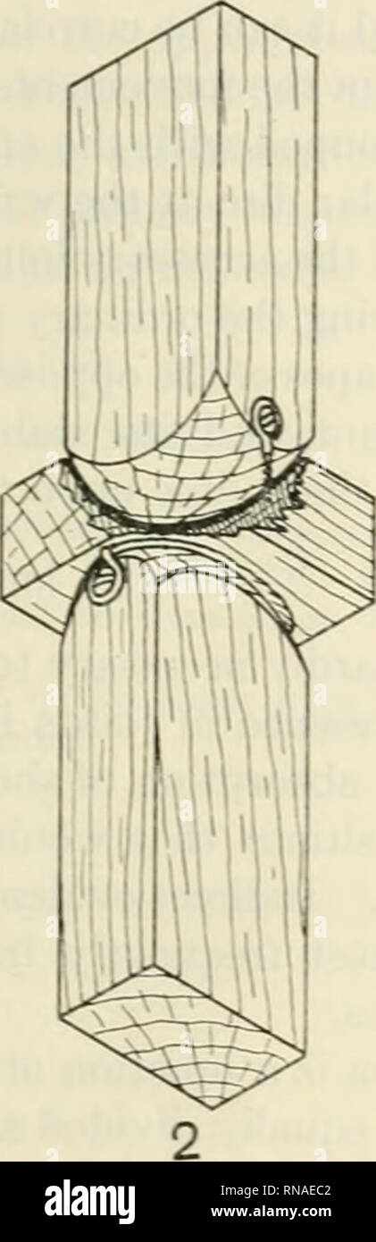 . Die anatomischen Datensatz 1922-1923. Anatomie. Abbn. 1 und 2 Das ist ein einfaches Formular in die Fuge zwischen Oberkiefer und premaxiUa im Kabeljau und in veränderter Form in den Sterno-schlüsselbeinanteil Gemeinsame im Menschen erfüllt. Dies gibt einen sehr stabilen tj-pe der Gemeinsamen im Wesentlichen biaxiale, die aber in der Regel wird eine kleine Menge von Rotation. Abbildung 2 zeigt diese Art. ^ Liebe in einer Ebene kann durch eine der Knochen' mo%' auf der Disc ing und Bewegungen in die andere Ebene wäre dann statt von der gleichen Knochen und die disc Mo'ing auf der. Bitte beachten Sie, dass diese Bilder extrahiert werden Stockfoto