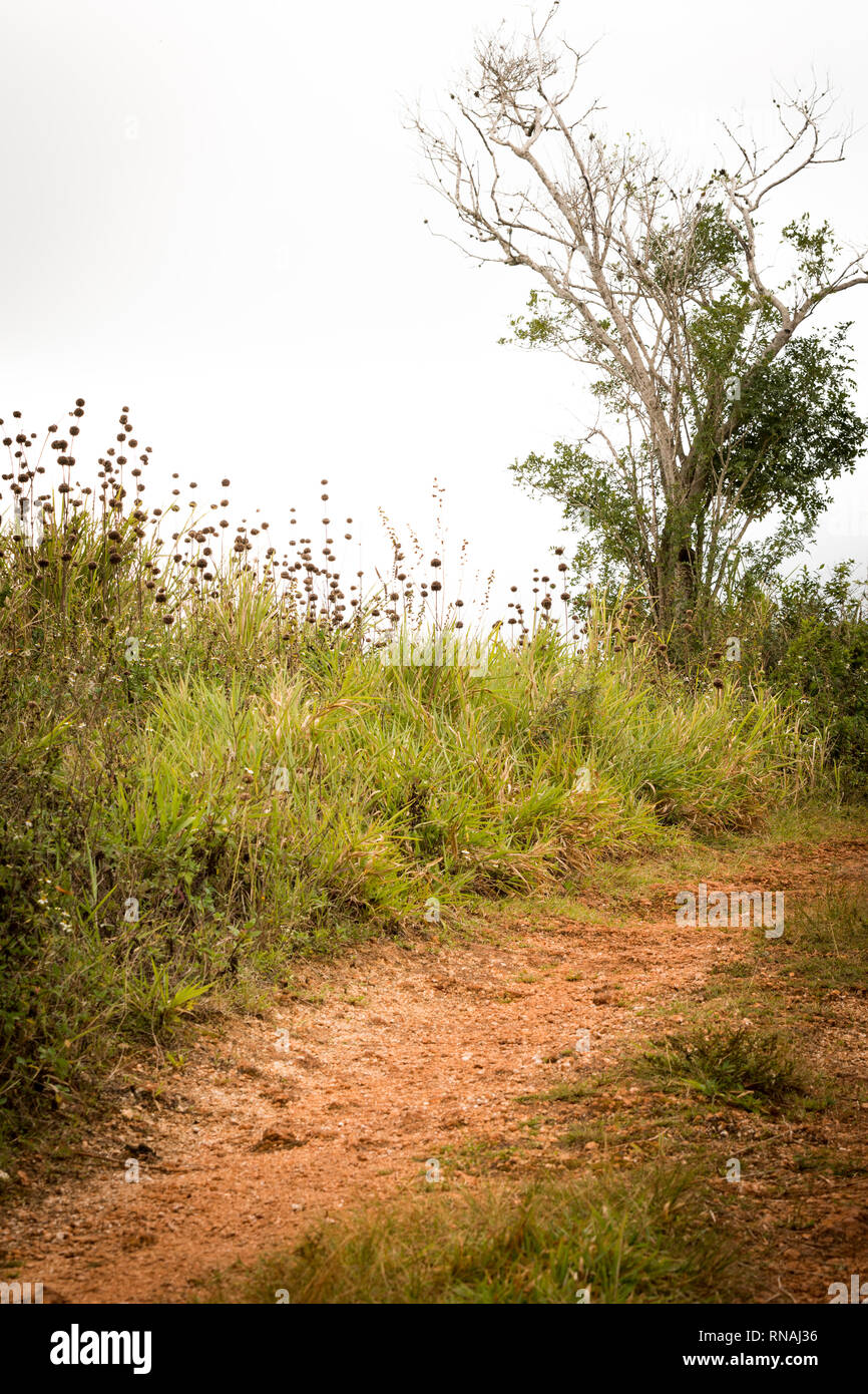 Lonely Schmutz engen Pfad bergauf durch die ländliche Landschaft. Konzept. Abseits der ausgetretenen Pfade. Straße weniger gereist. Stockfoto