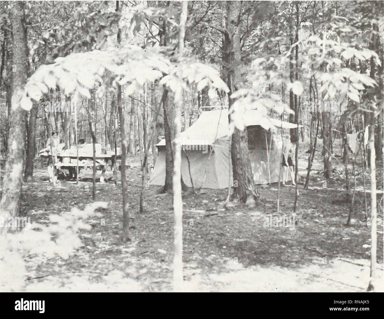 . Eine Analyse der Pennsylvania Waldressourcen. Die Wälder und die Forstwirtschaft Pennsylvania; Waldbewirtschaftung Pennsylvania. Western Pennsylvania Erhaltung der Pennsylvania Fisch Commis-sion die Politik mit der Projektförderung wurde der Fischerei in allen 67 Bezirken zu verbessern. Zwei neue Brutplätze wurden gebaut und 10 vorhandene Brutplätze wurden renoviert. Diese Verbesserungen fiel mit Gelder auf wa-ter Qualitätssteigerung zu stark im-Pennsylvania Angeln beweisen. Capital Finanzierung aus staatlichen Anleihen werden bald erschöpft sein werden. Ohne diese Mittel, Landerwerb durch die staatlichen Behörden immer schwieriger werden. Stockfoto