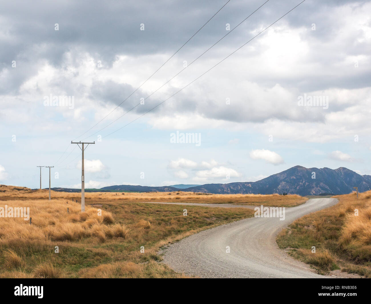 Strommasten Linien auf Biegung eine unversiegelte Schotterstraße, tussock Land, Ngamatea Station, Inland Mokai Patea, Central North Island, Neuseeland Stockfoto